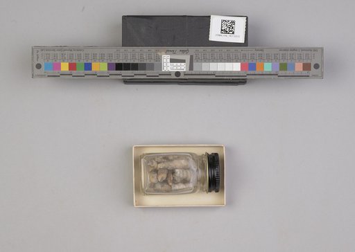 NSF ADBC EPICC TCN