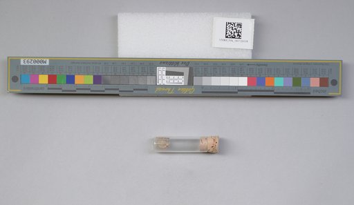 NSF ADBC EPICC TCN
