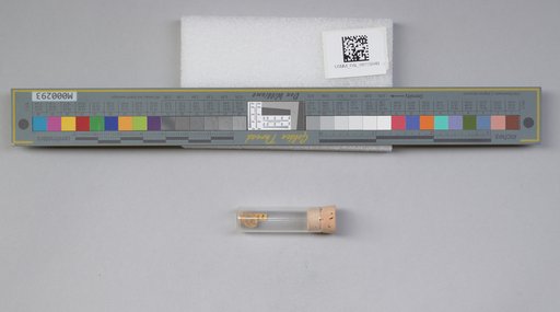NSF ADBC EPICC TCN