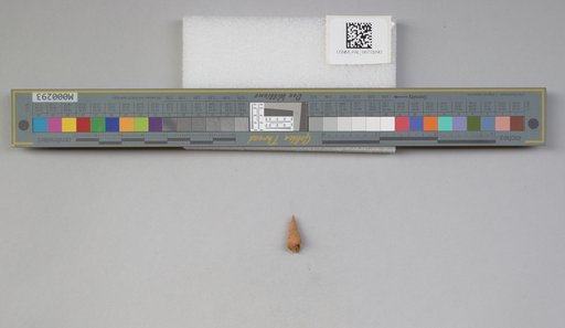 NSF ADBC EPICC TCN