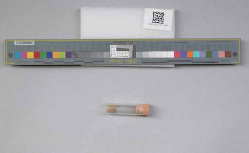 NSF ADBC EPICC TCN