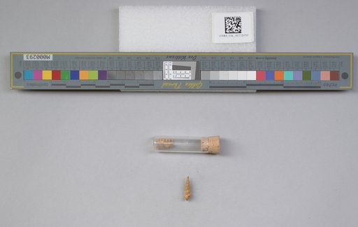 NSF ADBC EPICC TCN