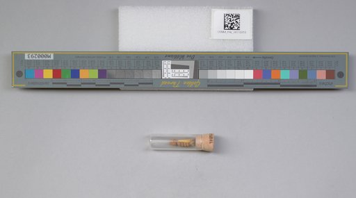 NSF ADBC EPICC TCN