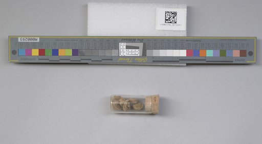 NSF ADBC EPICC TCN