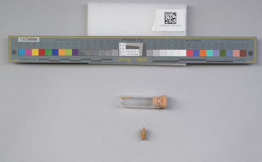 NSF ADBC EPICC TCN