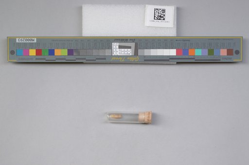 NSF ADBC EPICC TCN