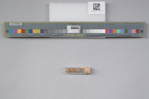 NSF ADBC EPICC TCN