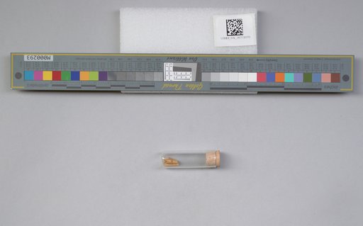 NSF ADBC EPICC TCN