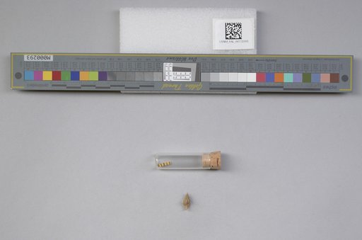 NSF ADBC EPICC TCN