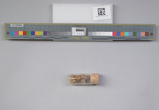 NSF ADBC EPICC TCN
