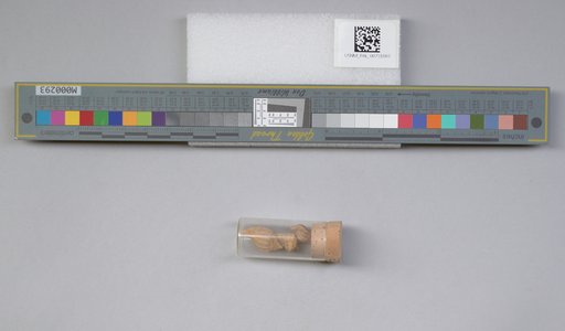 NSF ADBC EPICC TCN
