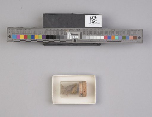 NSF ADBC EPICC TCN