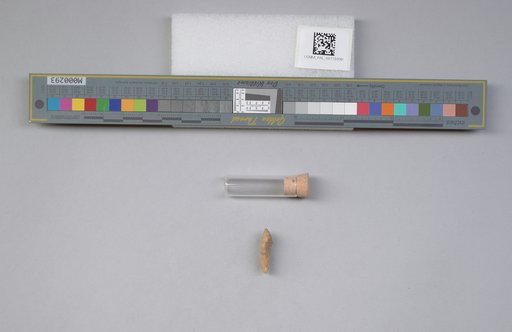 NSF ADBC EPICC TCN