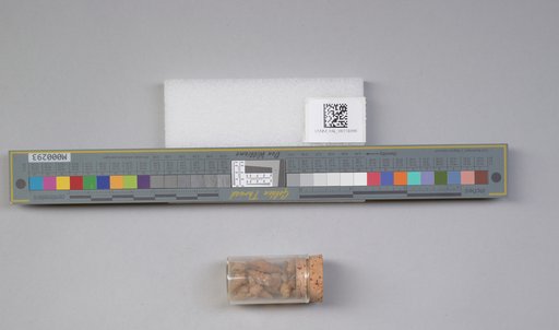 NSF ADBC EPICC TCN