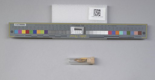 NSF ADBC EPICC TCN