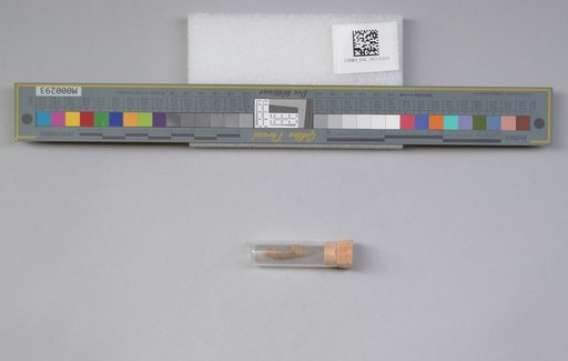 NSF ADBC EPICC TCN