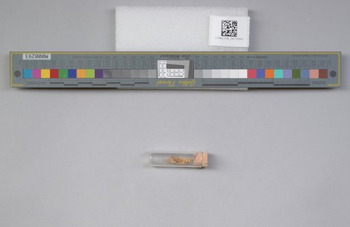 NSF ADBC EPICC TCN
