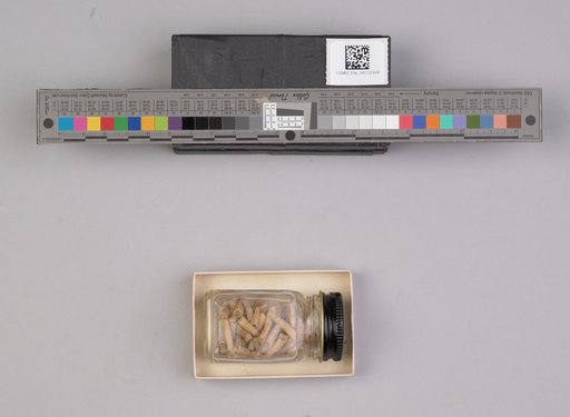 NSF ADBC EPICC TCN