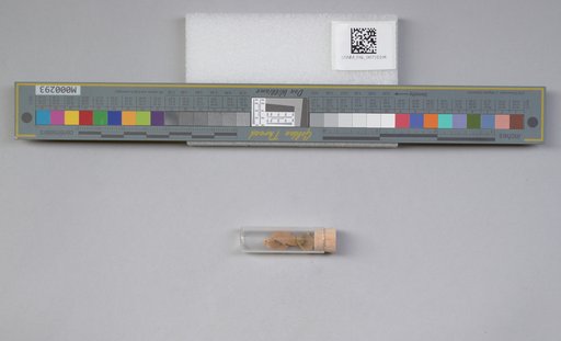 NSF ADBC EPICC TCN