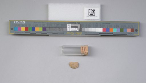 NSF ADBC EPICC TCN