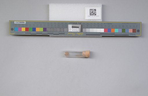 NSF ADBC EPICC TCN