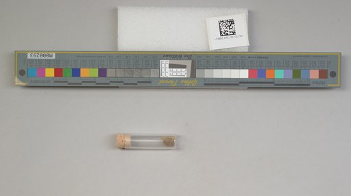 NSF ADBC EPICC TCN