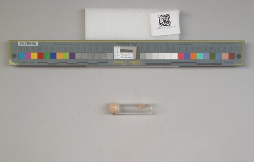 NSF ADBC EPICC TCN