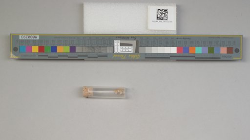NSF ADBC EPICC TCN