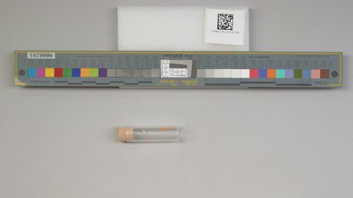 NSF ADBC EPICC TCN
