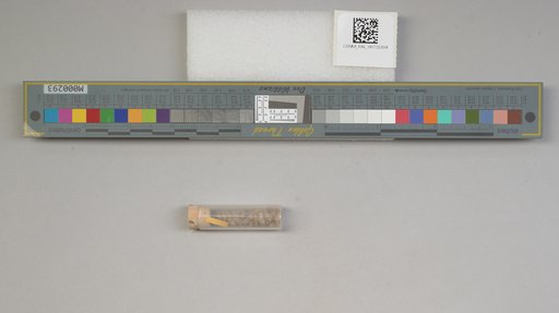 NSF ADBC EPICC TCN