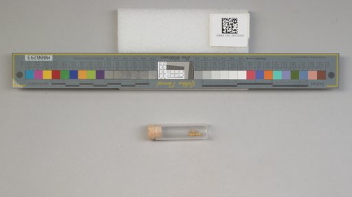 NSF ADBC EPICC TCN