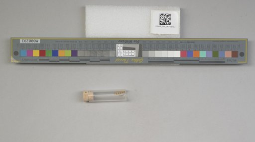 NSF ADBC EPICC TCN