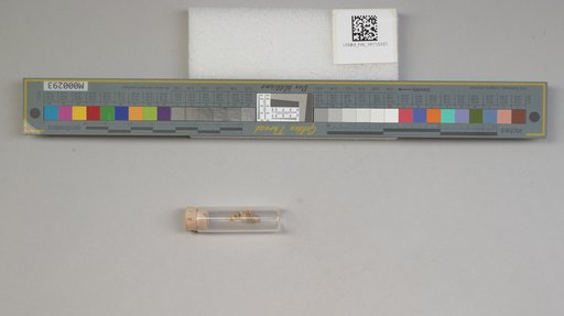 NSF ADBC EPICC TCN