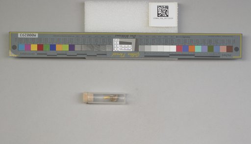 NSF ADBC EPICC TCN