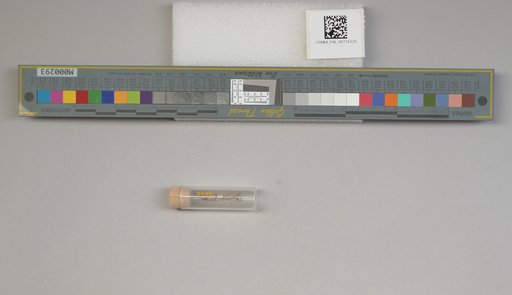 NSF ADBC EPICC TCN