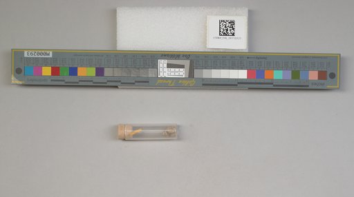 NSF ADBC EPICC TCN