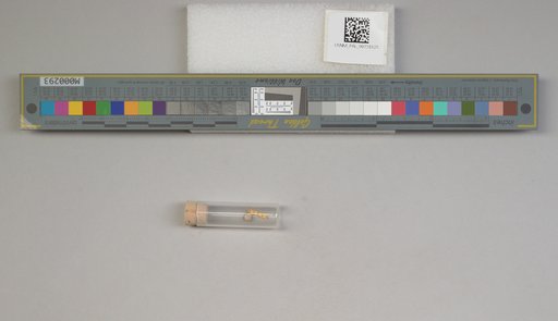 NSF ADBC EPICC TCN