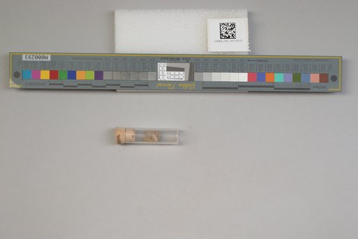 NSF ADBC EPICC TCN