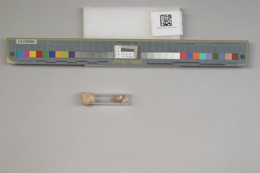 NSF ADBC EPICC TCN