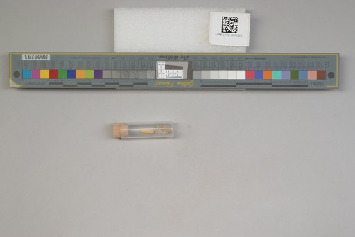 NSF ADBC EPICC TCN