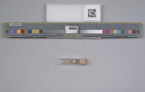 NSF ADBC EPICC TCN