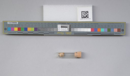 NSF ADBC EPICC TCN