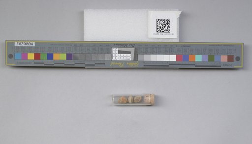 NSF ADBC EPICC TCN