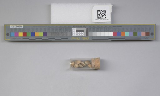 NSF ADBC EPICC TCN
