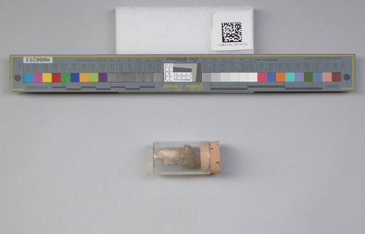 NSF ADBC EPICC TCN