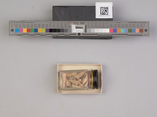 NSF ADBC EPICC TCN