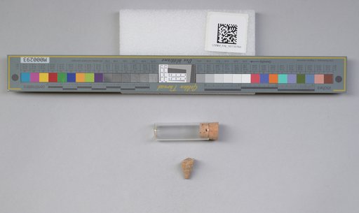 NSF ADBC EPICC TCN