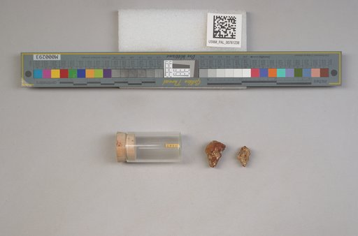 NSF ADBC EPICC TCN