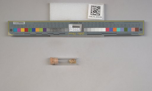 NSF ADBC EPICC TCN