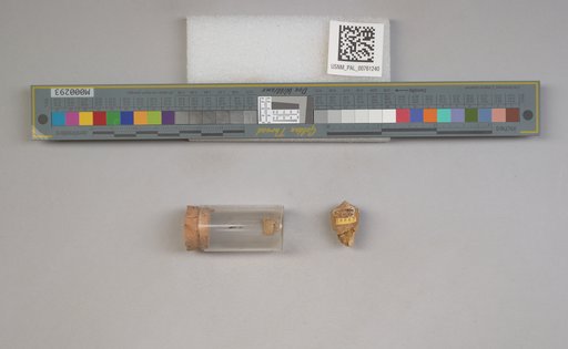 NSF ADBC EPICC TCN